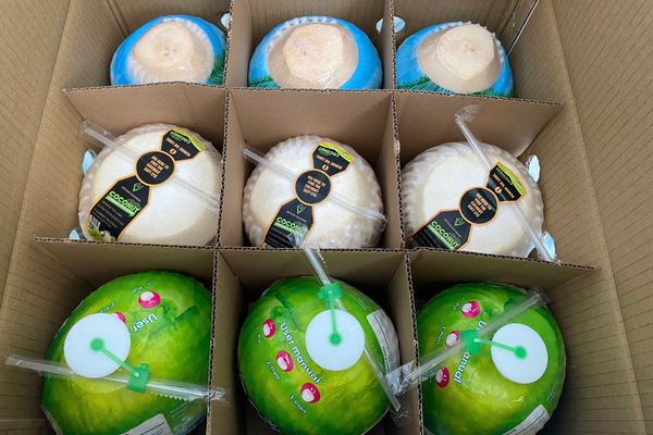 fresh young coconut from vietsunholdings